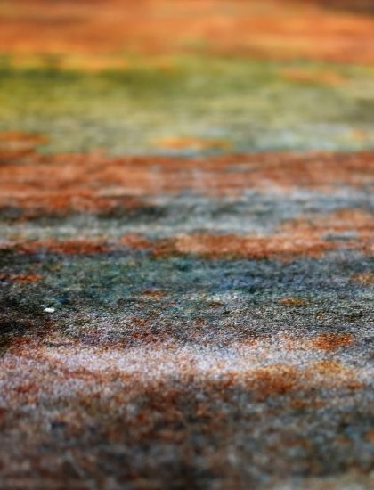 Moquette_Lux Moquette_Lux